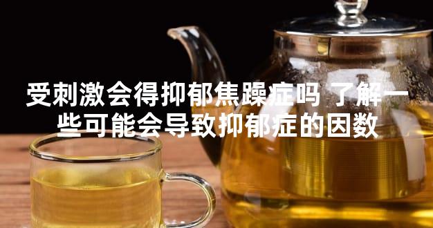 受刺激会得抑郁焦躁症吗 了解一些可能会导致抑郁症的因数